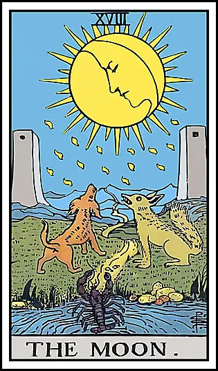 Tarot Card