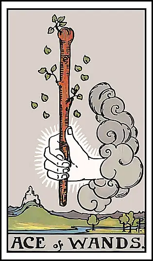 Tarot Card